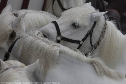 01 05 2015, Arles (FRA,13), Camargue Gardians Fest