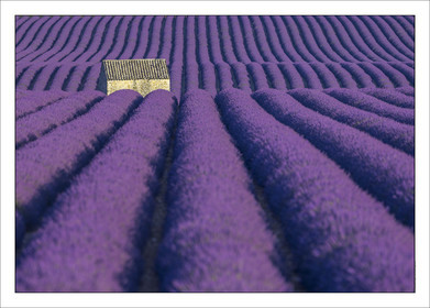 Produit : Tirage photo réalisé par nos soins sur imprimante jet d'encre professionnelle Epson à partir de 8 encres ultrachrome inaltérables (label Digigraphie).Formats au choix :. 20 x 30 cm. 30 x 40 cm. 50 x 70 cm. 80 x 120 cmChoix des papiers :. Papier standard brillant 250 gr., filet noir, marge blanche, tirage non signé. Papier haut de gamme satiné 290 gr. filet noir, marge blanche, tirage vérifié et signé par l'auteur.. Autres supports (canvas, acrylique, dibond) sur demande. Tirages d'art (Digigraphies) signées, numérotées, tamponnées, enregistrées sur demandeConditionnement : tube cylindrique renforcé.Options pour l'expédition : . Colissimo + dépôt boîte aux lettres (France uniquement). Colissimo avec signature à réception. Transporteur express (2 jours ouvrés) avec signature à réceptionCliquez sur caddie pour sélectionner votre formule et démarrer la procédure de commande en ligne