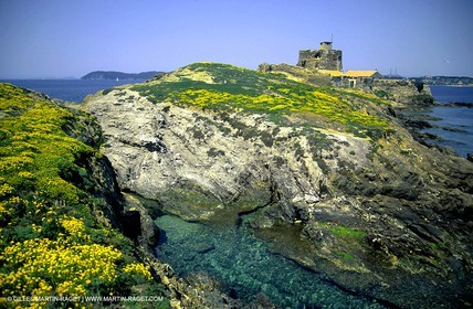 Porquerolles Island
