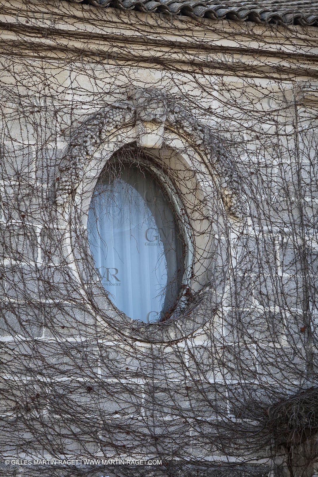 Saint Drézéry (FRA, 34), Domaine de Puech Haut