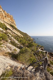 08 09 2009 - Marseille (FRA, 13) - Les Calanques - Cap Canaille et falaises Soubeyrannes