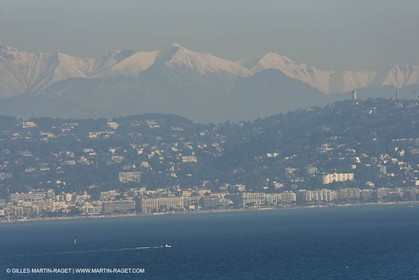 06 02 2008 - Théoule sur mer (FRA, 06) - Mimoses in full flower