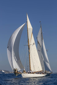 RRoyales18_5106.jpg
