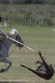 Course de Satin 2014 - Arles (FRA,13) - 1 06 2014**The satin race - Arles (FRA,13) - 01 06 2014