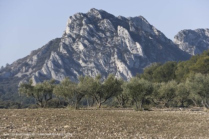 09 02 2008 - Les Baux de Provence (FRA, 13) - Alpilles hills landscapes