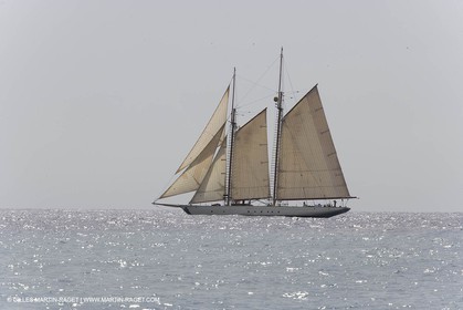 YC9H5016.JPG