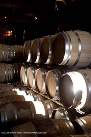 Saint Drézéry (FRA, 34), Domaine de Puech Haut