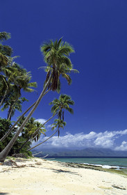 New Caledonia