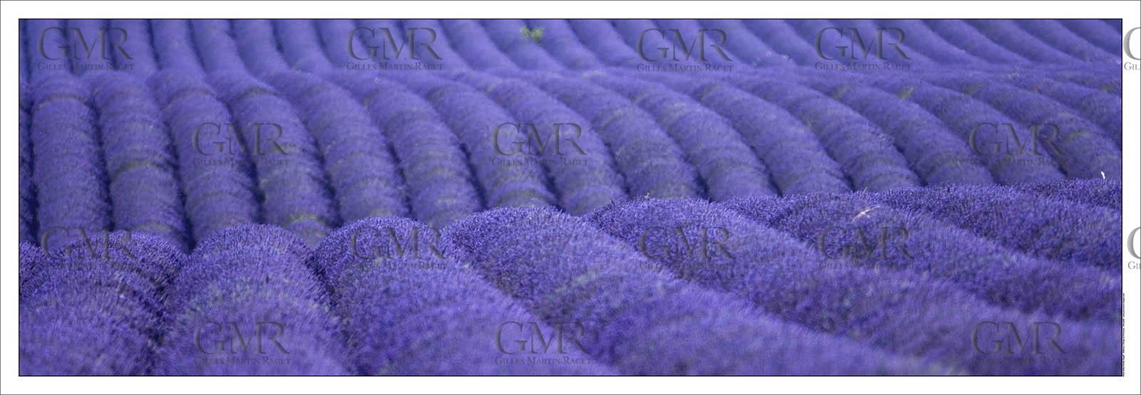 Product: in house made quality print on 8 ultrachome colors Epson ink Jet printer.Available sizes: . 20x 60 cm. 33 x 95 cm. 52 x 150 cmAvailable papers: . Standard 250 gr glossy paper print, black streak, white margin, no signature. Top quality glossy 290 gr. paper, black streak, white margin, checked and signed by the author. Fine Art print (signed, numbered, stamped, registered) on demand. Other supports (Canvas, Acrylic, Metal) on demandPackaging: cylindric reinforced tubeShipping options: regular mail or Shipping companyClick on the basket icon to select your options and start the online ordering process