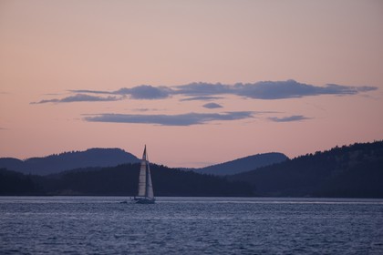 01 09 2008 - San Juan Islands (WA, USA) - Orques
