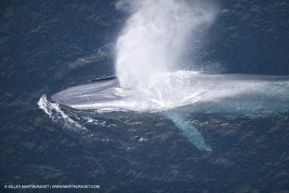 13 08 2009 - San Diego (USA,CA) - 33rd America's Cup - BMW ORACLE Racing - 90 ft Trimaran testings