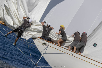 RRoyales18_5121.jpg