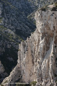 06 05 2009 - Marseille (FRA, 13) - Les Calanques - On Castelviel plateau - Calanque de Loule