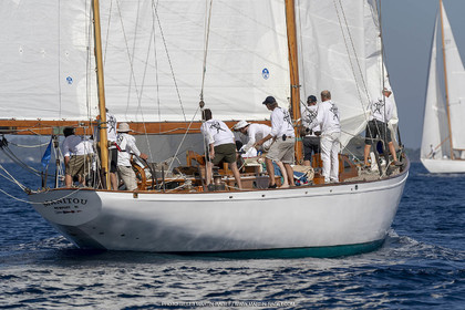 RRoyales18_5369.jpg