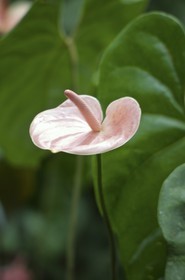 GMR_000063.jpg