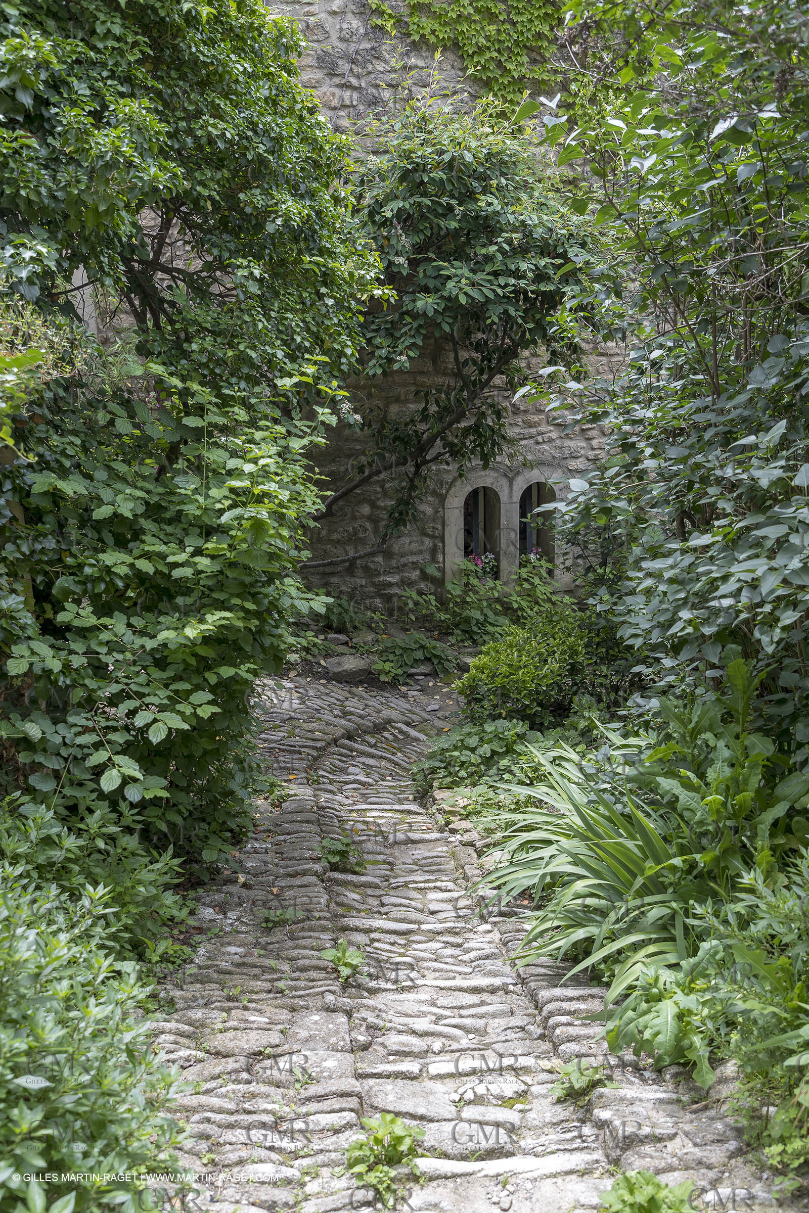 10 06 2018, Saignon (FRA,84)