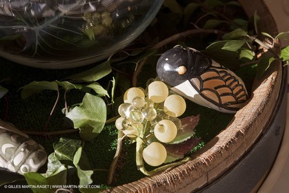 22 12 2008-Cabasse (FRA,83) - Domaine du Lac