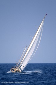 Dorade