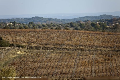 Saint Drézéry (FRA, 34), Domaine de Puech Haut