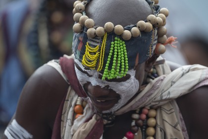 08 11 2014, Capetown (ZAF), Volvo Ocean Race 2014-15, Team Alvimedica, Nursing the boat