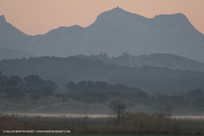 22 02 2008 - Maussane (FRA, 13) - Alpilles hills landscapes