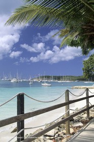 1993 Antigua Sailing Week