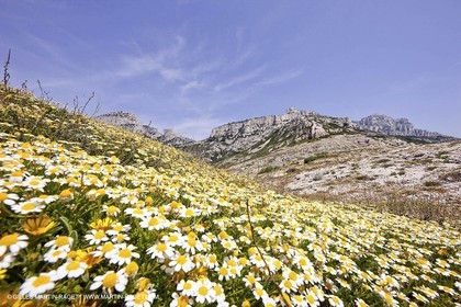 20 05 2009 - Marseille (FRA, 13) - Les Calanques - Calanque de Marseilleveyre