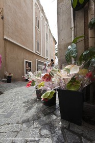 06 06 09 - Sanaray Sur Mer (FRA,83)