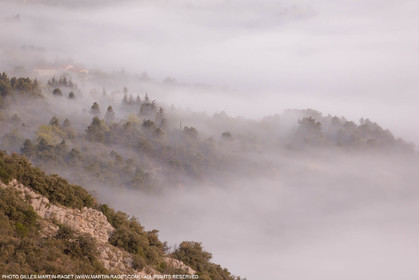 12 04 2016, Parc National du Luberon (FRA, 84)