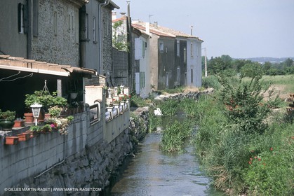 costieres_plaine0071