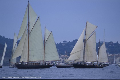 Black Swan - Yachts classiques