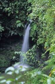La Dominique - Antilles