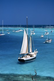 GMR_000053.jpg