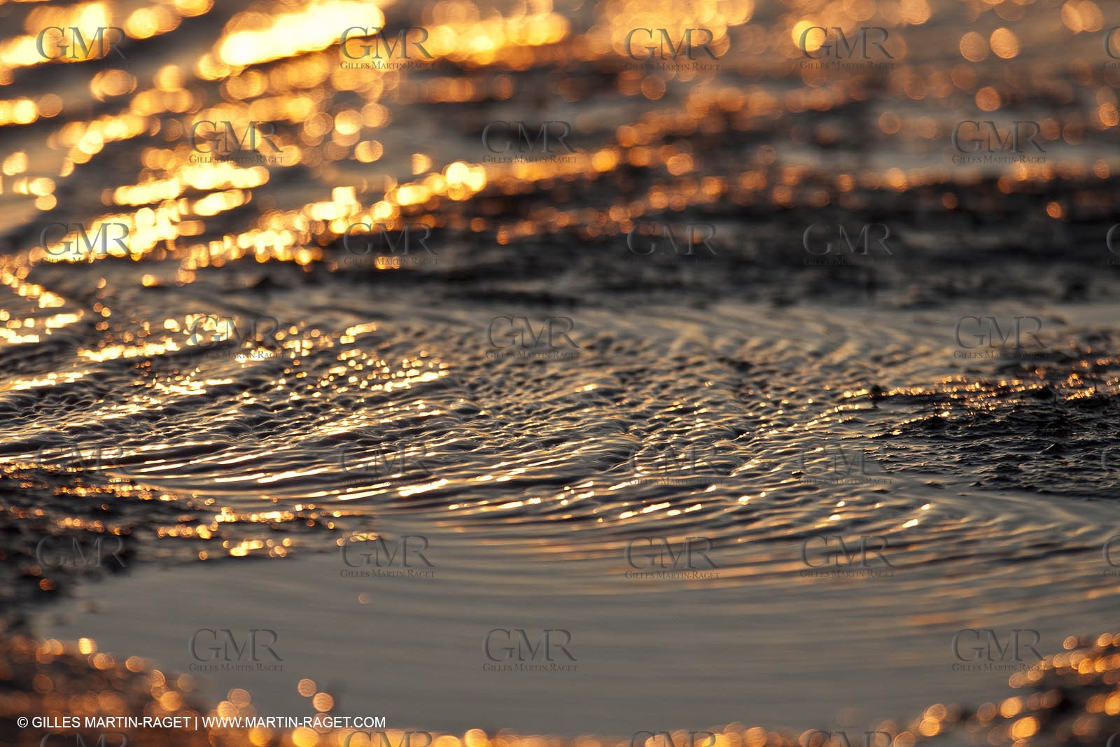 25 05 2011 - Les Saintes Maries de la Mer (FRA,13) - gypsies gathering