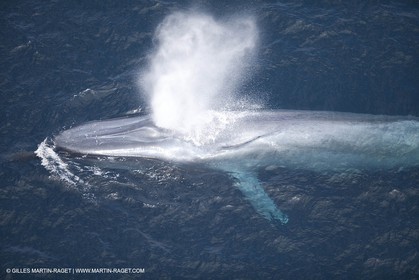 13 08 2009 - San Diego (USA,CA) - 33rd America's Cup - BMW ORACLE Racing - 90 ft Trimaran testings