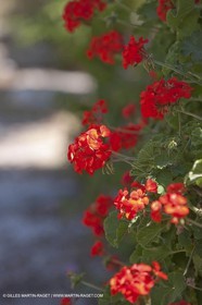 27 05 2009 - Marseille (FRA, 13) - Les Calanques - Sormiou