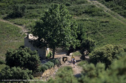 Nîmes garrigue