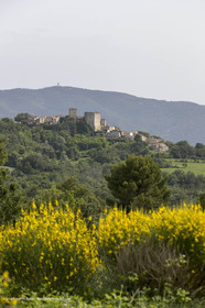 10 06 2018, Caseneuve (FRA,84)