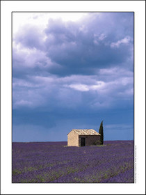 Produit : Tirage photo réalisé par nos soins sur imprimante jet d'encre professionnelle Epson à partir de 8 encres ultrachrome inaltérables (label Digigraphie).Formats au choix : . 30x40 cm. 50x70 cm. 80x120 cm.Choix des papiers :. Papier standard brillant 250 gr., filet noir, marge blanche, tirage non signé. Papier haut de gamme satiné 290 gr. filet noir, marge blanche, tirage vérifié et signé par l'auteur.. Autres supports (canvas, acrylique, dibond) sur demandeConditionnement : tube cylindrique renforcé.Options pour l'expédition : . colissimo + dépôt boîte aux lettres (France uniquement). Colissimo avec signature à réception. Transporteur express (2 jours ouvrés) avec signature à réceptionCliquez sur caddie pour sélectionner votre formule et démarrer la procédure de commande en ligne