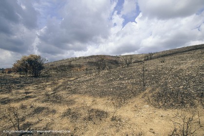 France, Languedoc Roussillon, Incendies, bushfires