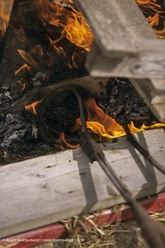 France, Provence, Gardians de Camargue