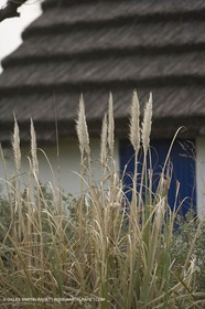 16 02 2008 - Les Saintes Maries de la mer (FRA, 13) - Cabanes de gardians