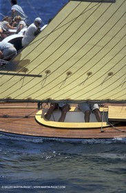 Le Lézard - Voiles du Vieux Port 2003