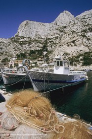 France, Provence, Pêche , Barques, pointus, pêche locale