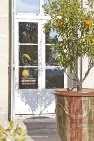 Saint Drézéry (FRA, 34), Domaine de Puech Haut