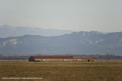 04 03 2007 - Saint Martin de Crau (FRA) - la Crau plain with Alpilles hills and Mont Ventoux in background.