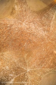 France, Provence, Marseille, Patrimoine historique et architectural (voir mots clés pour détaills)