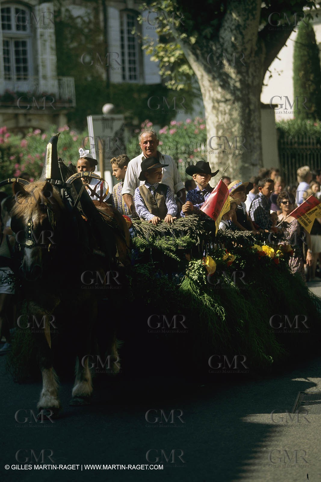France, Provence, Saint-Rémy de Provence, Careto ramado (Char fleuri)