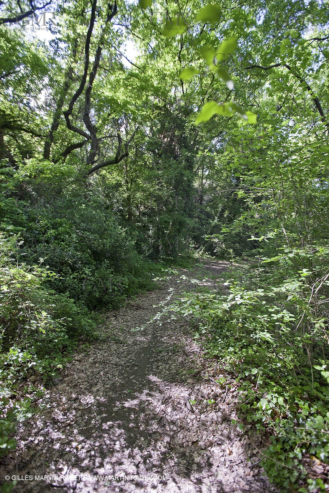 28 04 2009 - Ste Anastasie (FRA, 30) - Atlas Nîmes Métropole -  2009 campaign - Saint Nicolas bridge