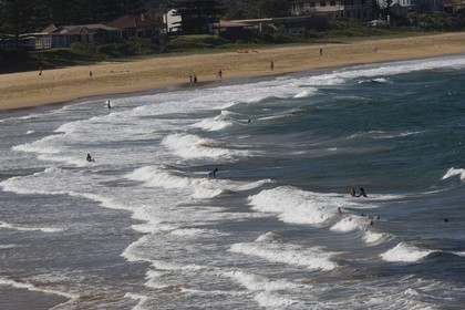 11 12 2006 - Australie - New South Wales - Central coast - Gosford & environs